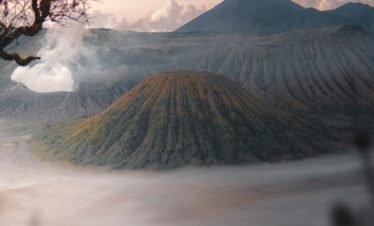 a foggy valley with trees and mountains in the background