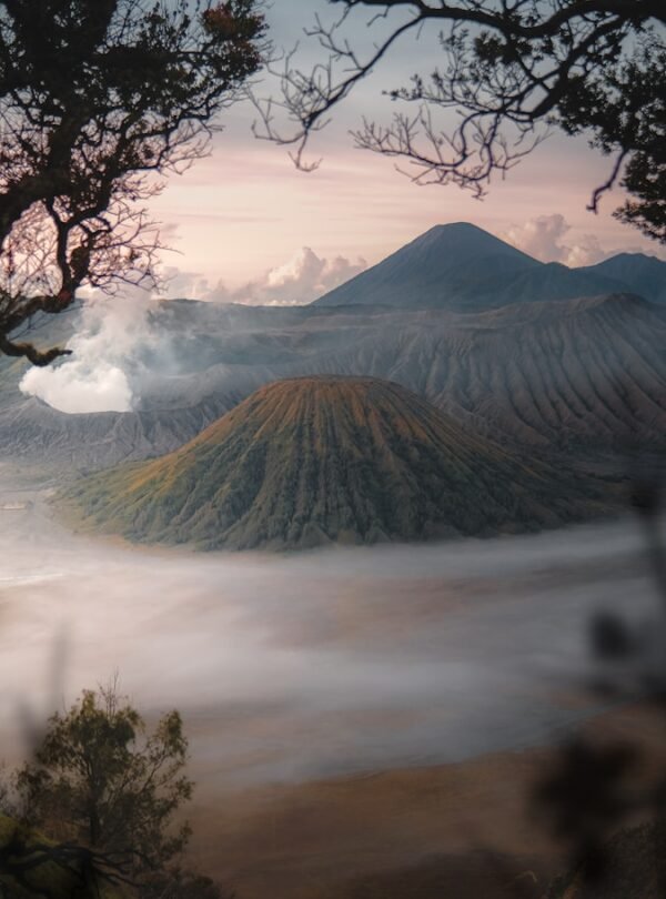 a foggy valley with trees and mountains in the background