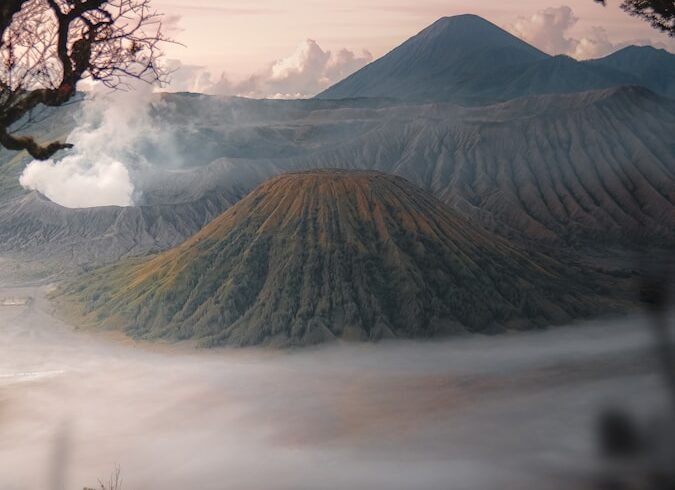 a foggy valley with trees and mountains in the background