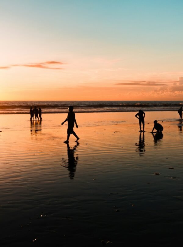 people at the beach during golden hour