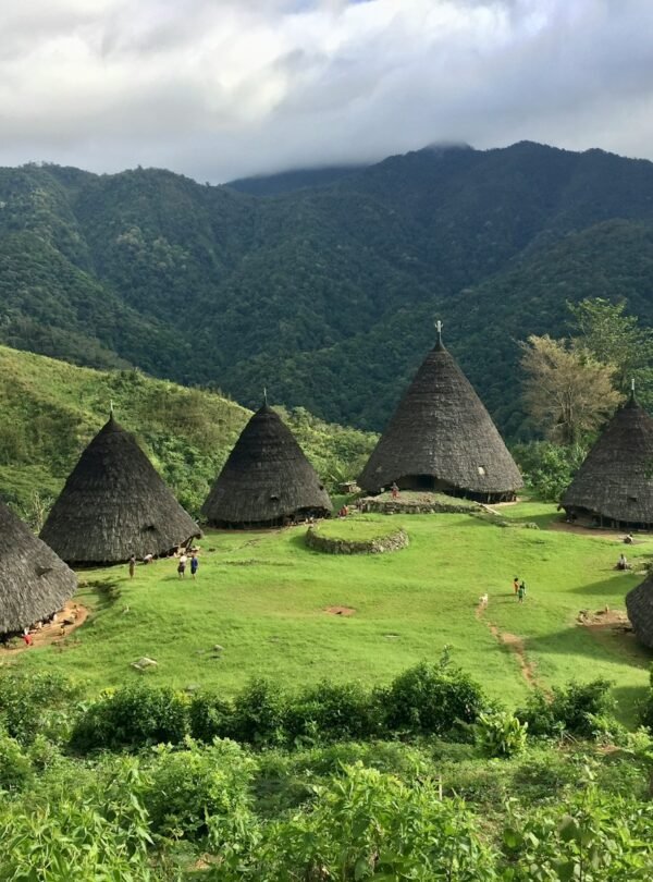 a group of huts sitting on top of a lush green hillside