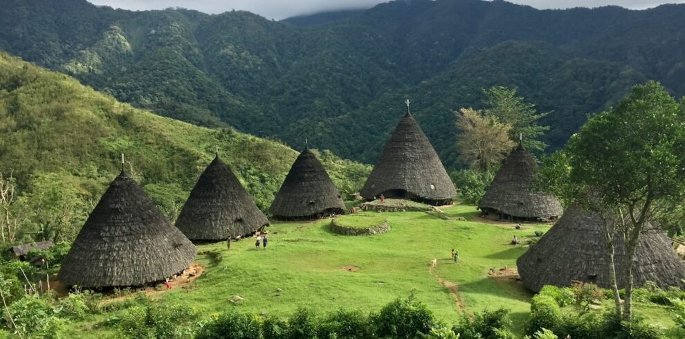 a group of huts sitting on top of a lush green hillside