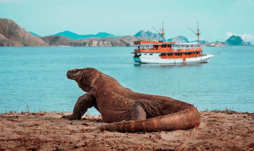 Komodo National Park & Labuan Bajo Travel Guide 2025 – 2026: Meet the Dragons, Dive the Reefs, and Explore Indonesia’s Wild Paradise
