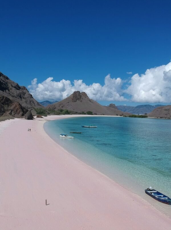 a boat is sitting on a pink beach
