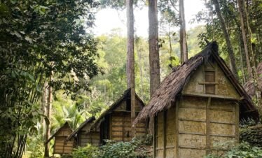 a log cabin in the woods