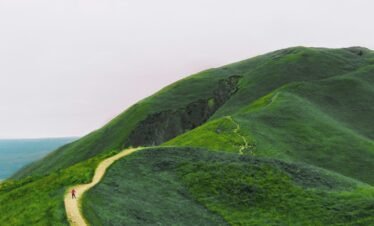 a person is walking up a grassy hill