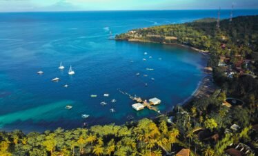 aerial view of green trees and body of water during daytime
