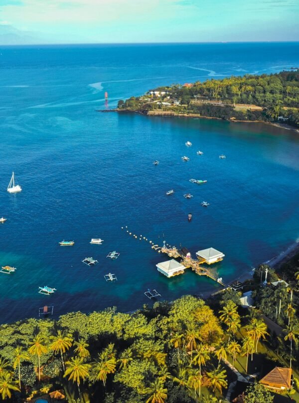 aerial view of green trees and body of water during daytime