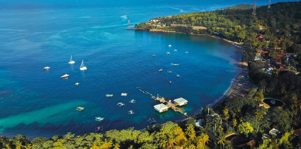 aerial view of green trees and body of water during daytime