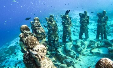 a group of statues sitting on top of a coral reef