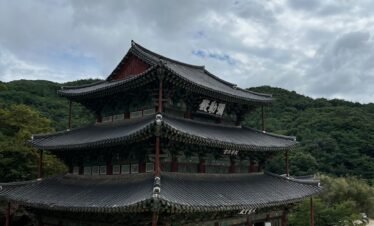 a building with a large roof