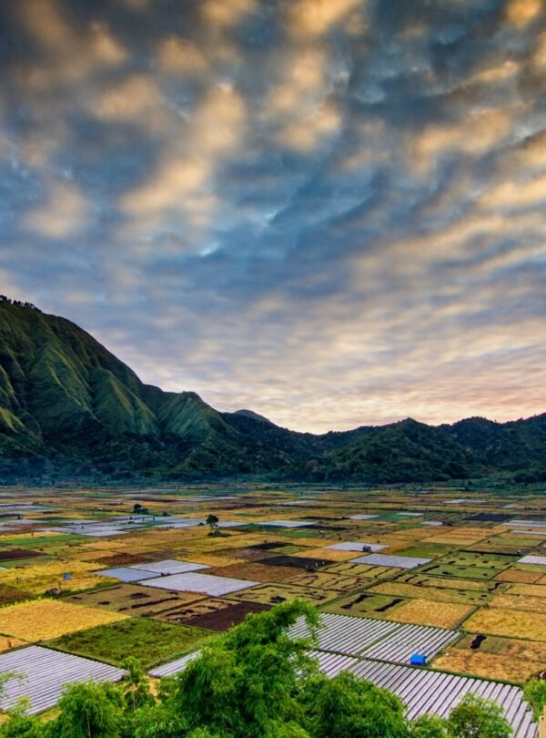 green grass field near mountain under cloudy sky during daytime