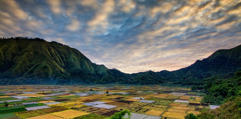 green grass field near mountain under cloudy sky during daytime