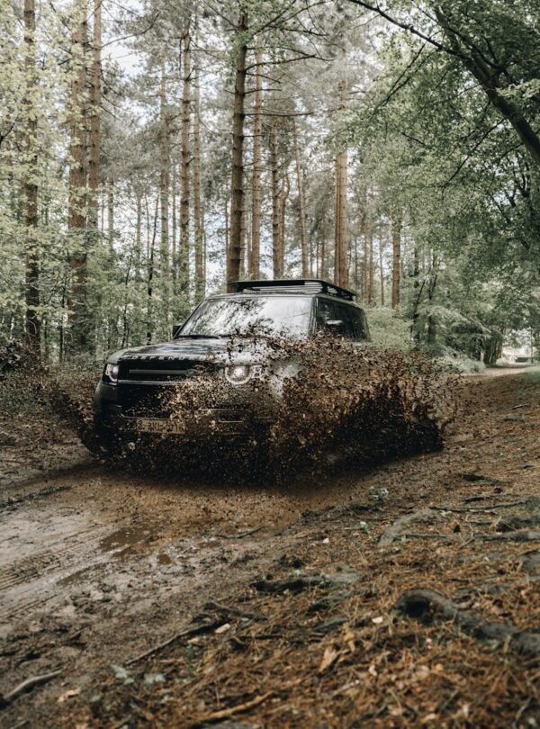 black car on dirt road in between trees during daytime